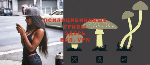 крисы Заводоуковск