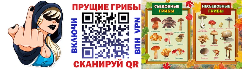 Псилоцибиновые грибы прущие грибы  Купить  Дудинка 